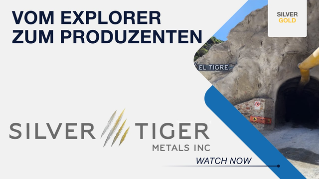 Hochgradig & günstig bewertet: Warum Silver Tiger jetzt interessant wird