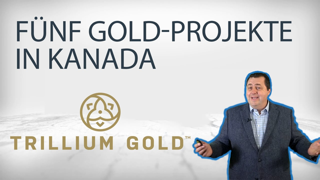 Trillium Gold: Goldexplorer mit 5 Projekten in Red Lake Ontario, Kanada